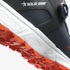 Vernesko revolution 2S GTX low str 42